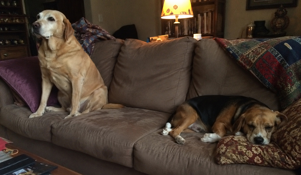 Living with two opposite